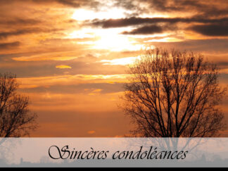 Carte de condoléances "2 arbres coucher de soleil"