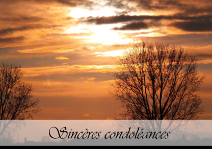 Carte de condoléances "2 arbres coucher de soleil"