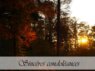 Carte de condoléances "Forêt automne"