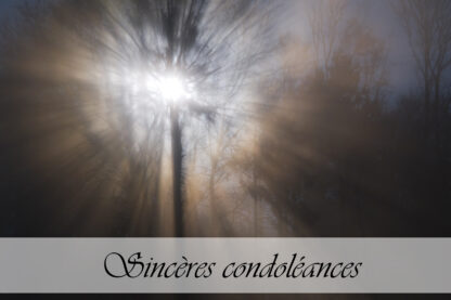 Carte de condoléances "Brouillard"
