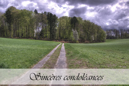 Carte de condoléances "Chemin droit HDR"