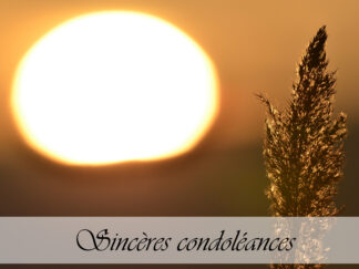 Carte de condoléances "Coucher de soleil roseau Hz"