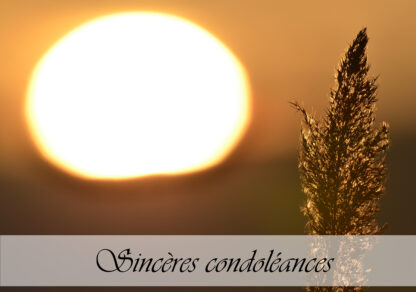 Carte de condoléances "Coucher de soleil roseau Hz"