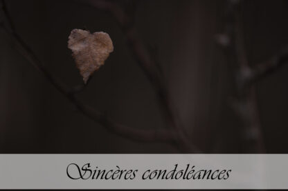 Carte de condoléances "Feuille en coeur"