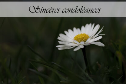 Carte de condoléances "Marguerite"