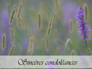 Carte de condoléances "Pré fleures violettes"