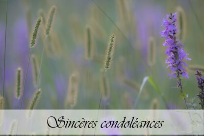 Carte de condoléances "Pré fleures violettes"