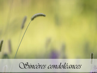 Carte de condoléances "Pré vert"