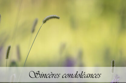 Carte de condoléances "Pré vert"